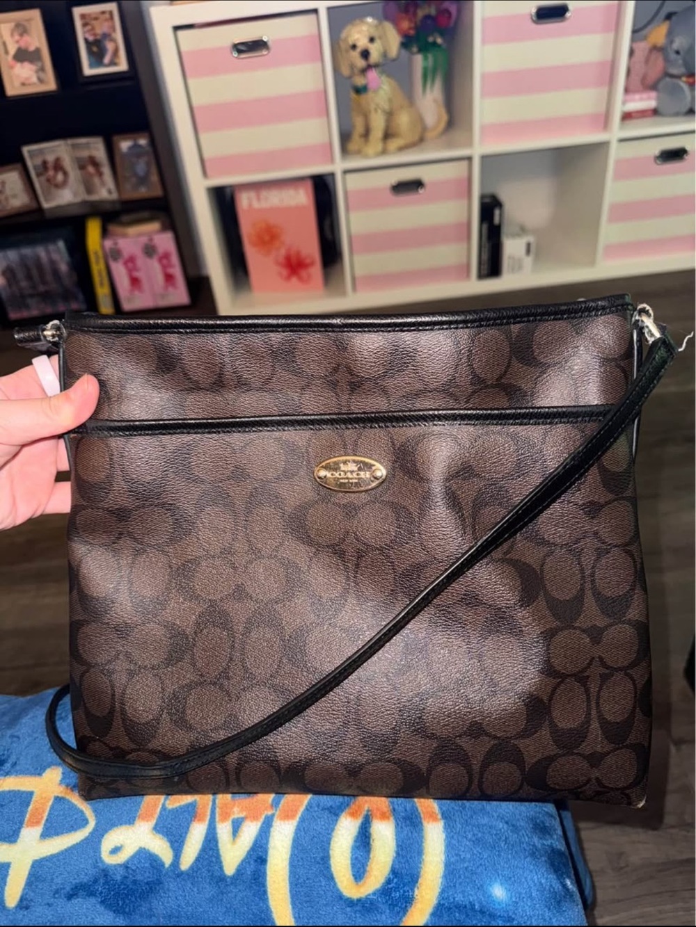 Coach Brown Signature Crossbody Bag with Gold-Tone Accent